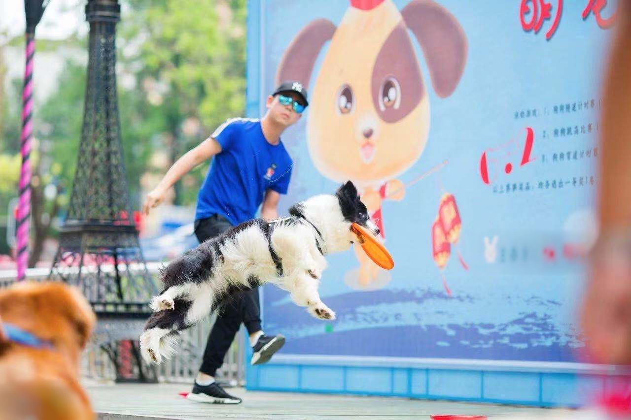 微信图片_20200709210243.jpg