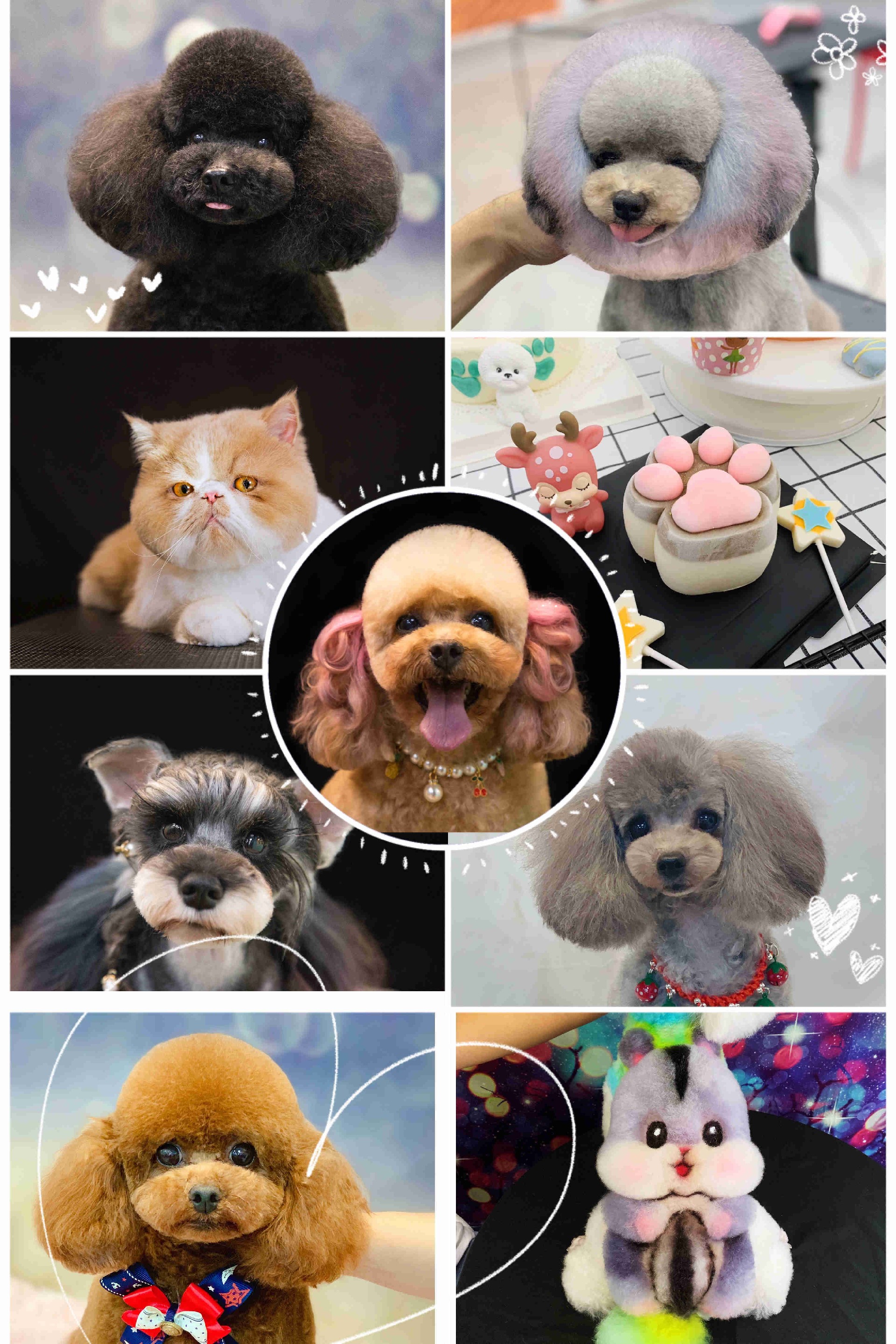 1592381199127914.jpg 微信图片_20200617160336.jpg