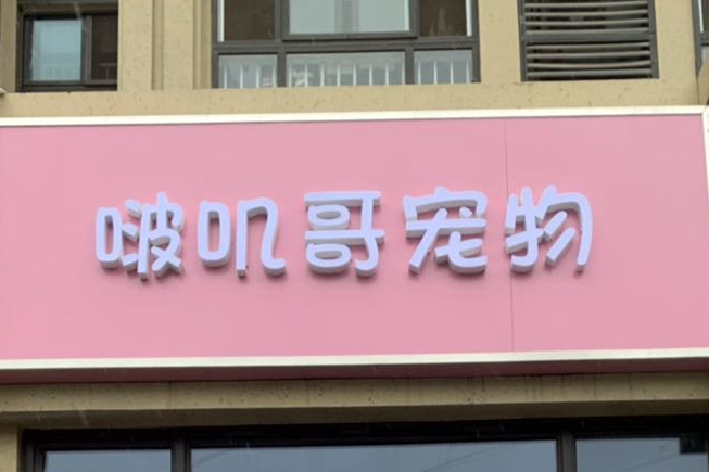 啵叽哥宠物