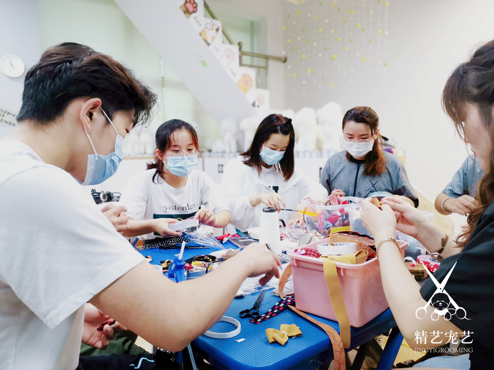 精艺课堂：制作宠物美容小饰品
