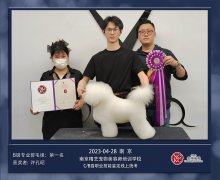 恭喜全员通过宠物美容师资格鉴定考试，三人获