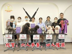六人参赛，四人获奖：优秀宠物美容师的成长